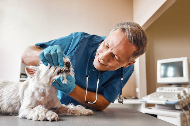 Best Same-Day Emergency Dental Services in Dublin, OH